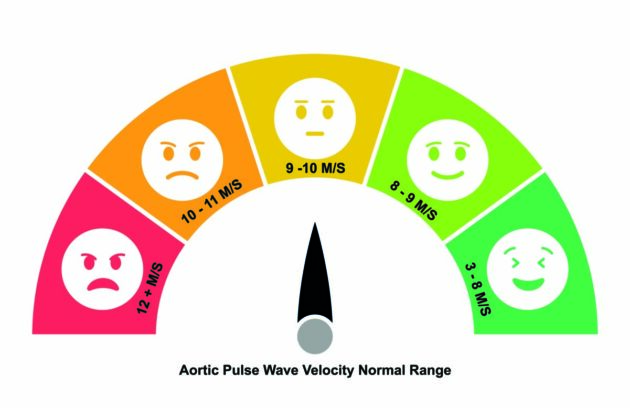 pulse wave velosity is a predictor of arterial disease