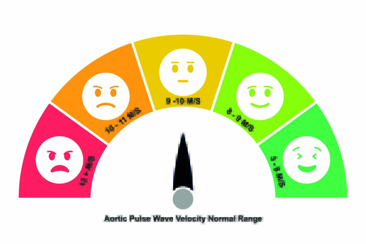 pulse wave velosity is a predictor of arterial disease
